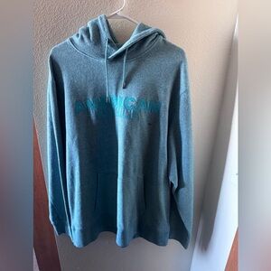 American Eagle Outfitters Teal Hoodie for Men